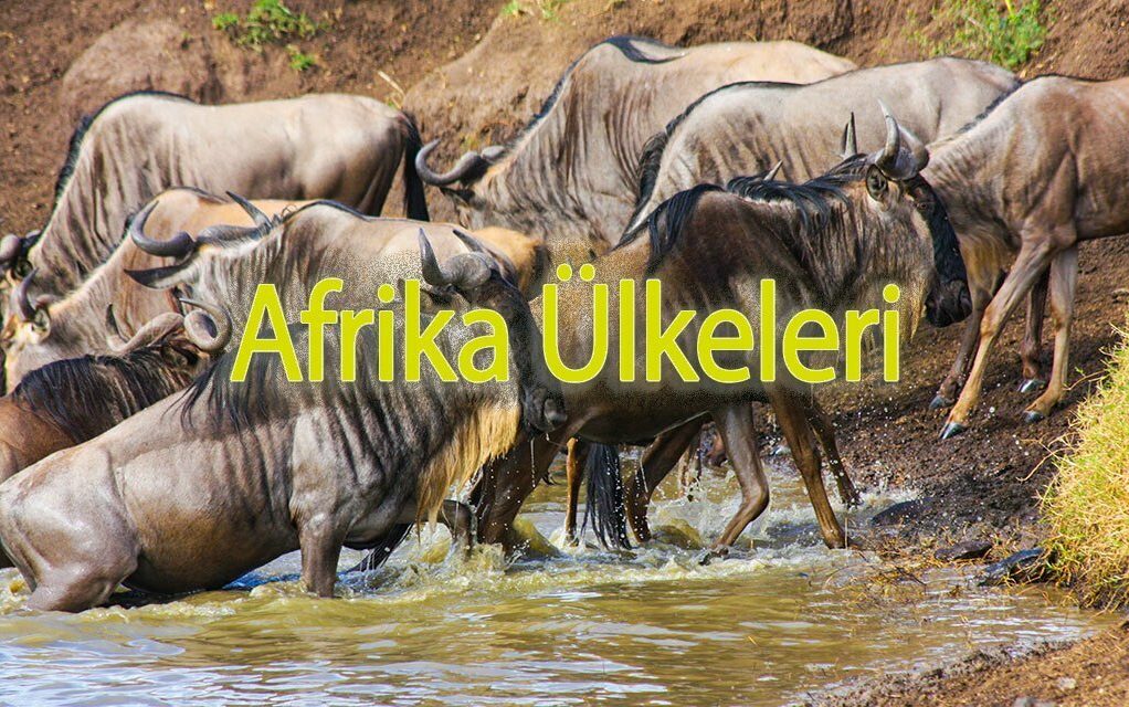 Afrika Gezilecek Ülkeler | Yoldaolmak.com