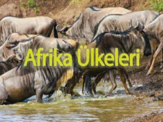 afrika gezilecek ülkeler