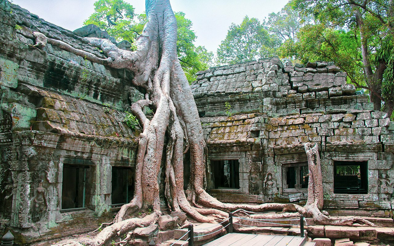 Ta Prohm Thomb Rider Temple