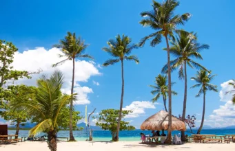 Palawan Adası Gezi Rehberi Palawan Adası