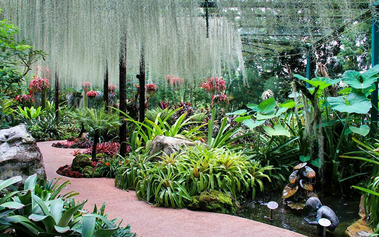 National Orchid Garden