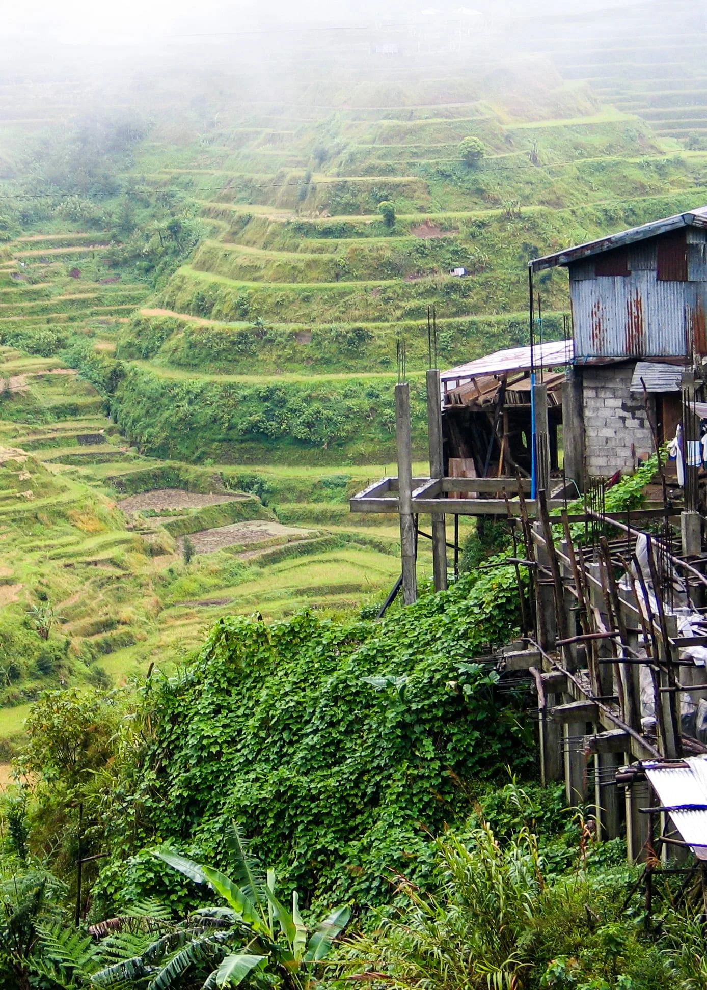 Banaue Gezi Rehberi
