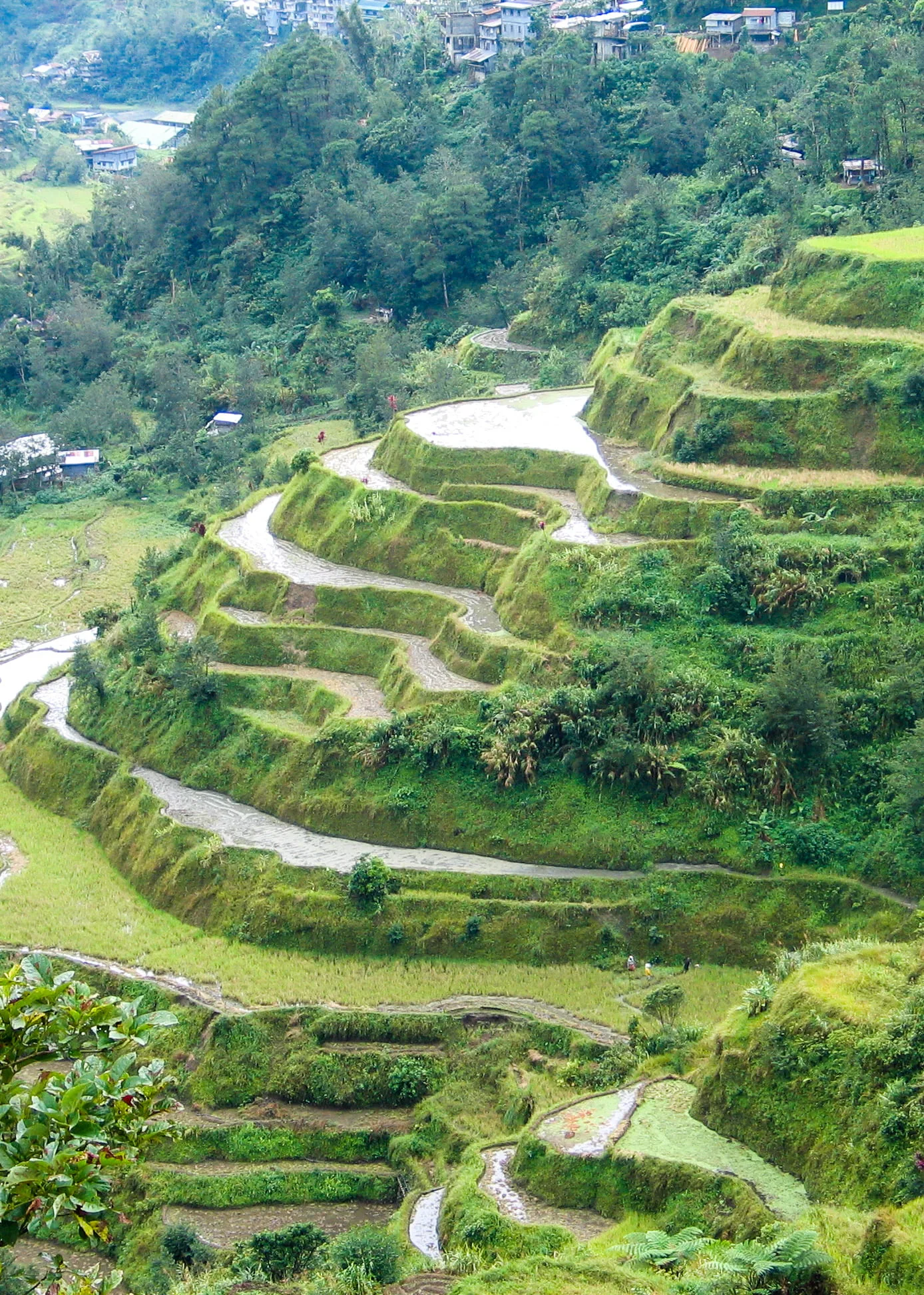Banaue nasıl gidilir