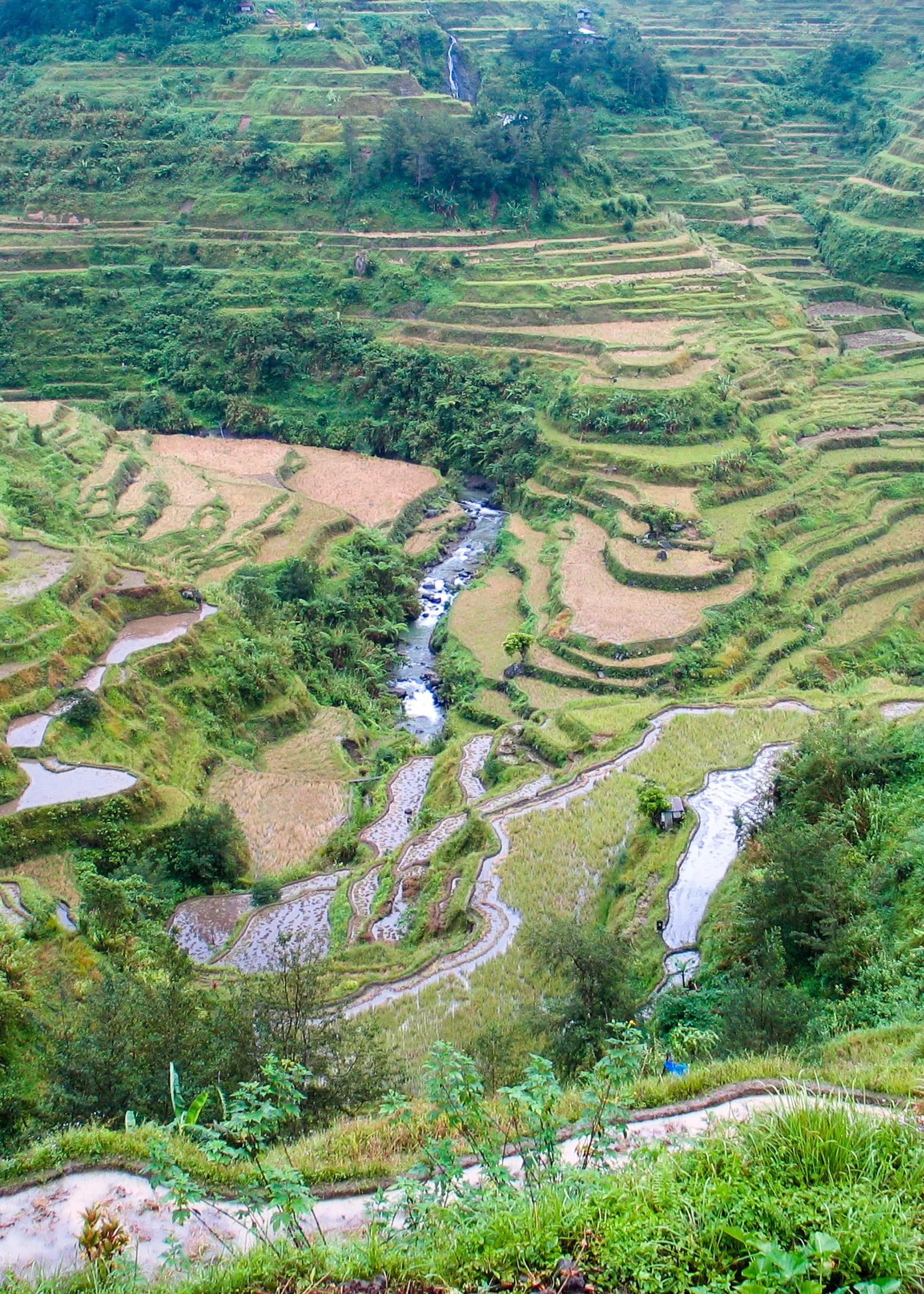 Banaue Rice Terraces, Philippines