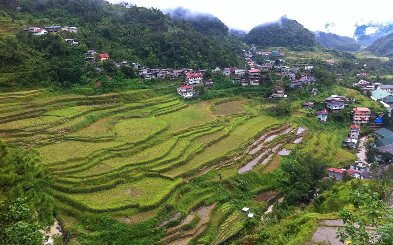Banaue Rice Terraces