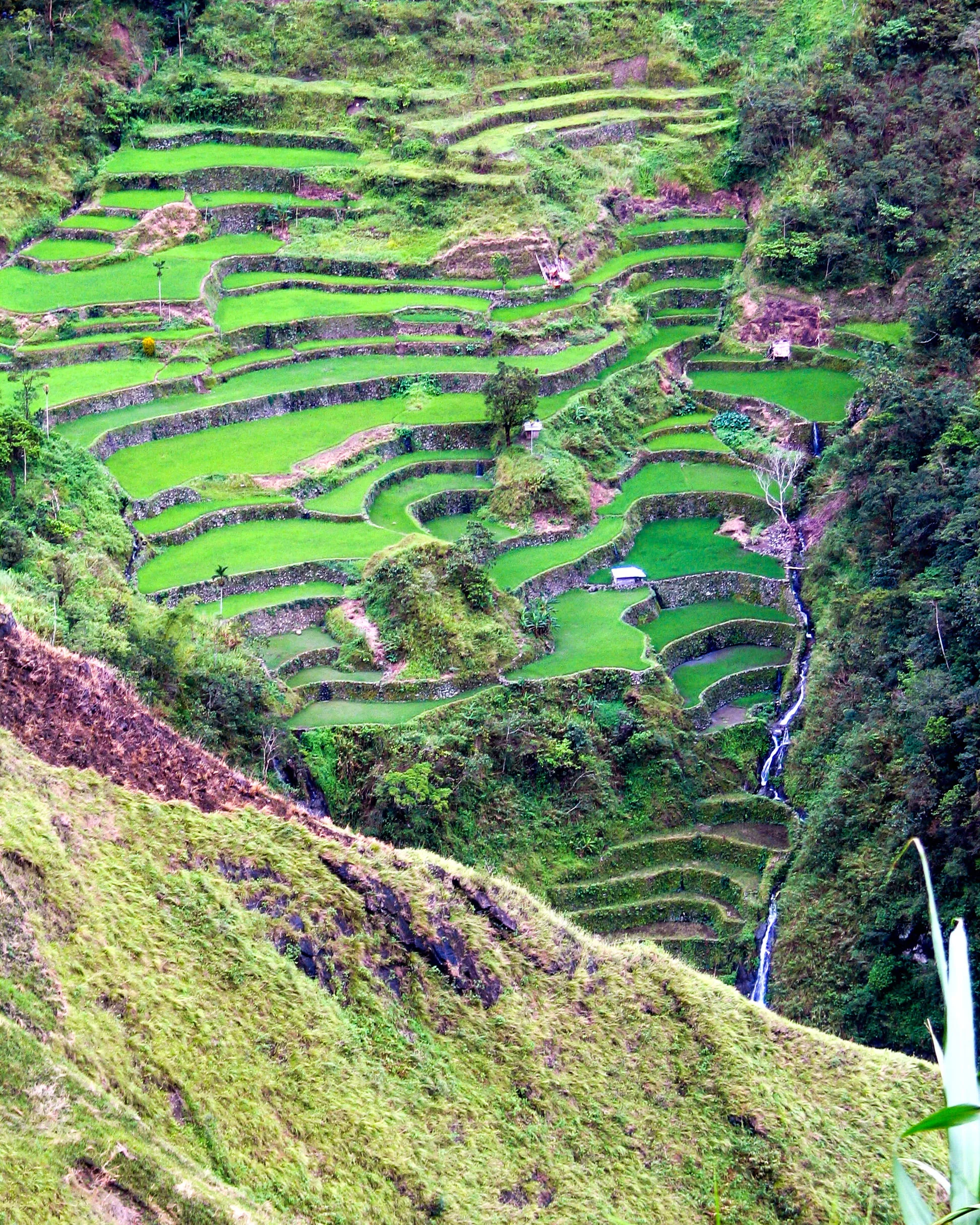 Bangaan Rice Terraces