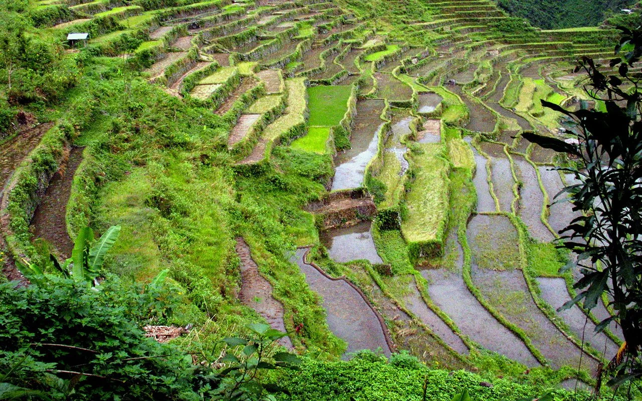 Batad Rice Terraces, Philippines