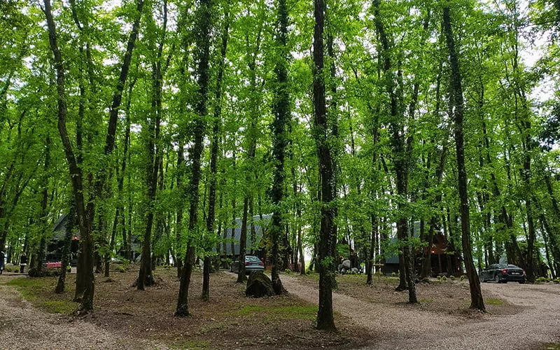 Meşelik Park