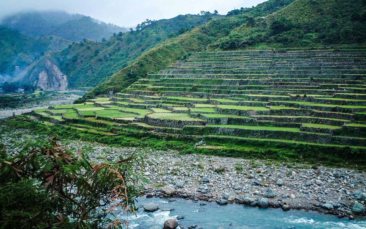 Kadchog Rice Terraces