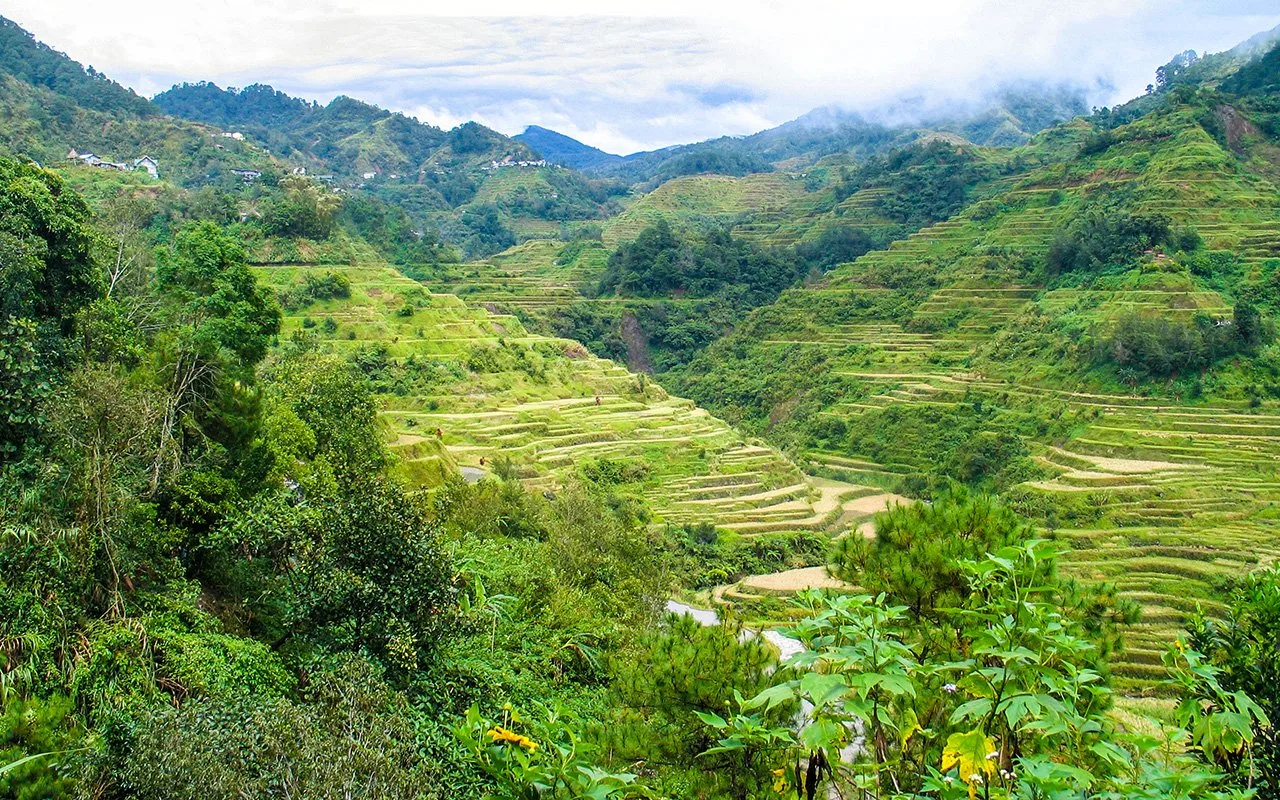 Banaue Pirinç Tarlaları