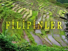 Filipinler Gezi Rehberi