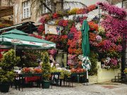 Belgrad’ın Bohem Köşesi: Skadarlija Skadarlija