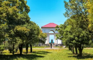 Botanik Bahçesi Rehberi: Karadeniz’in Yeşil Hafızası Batum Botanik Bahçesi