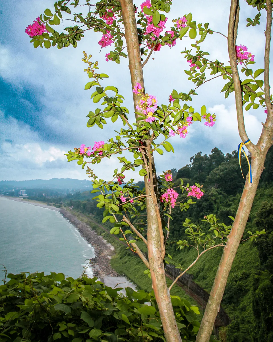 Batum Botanik Bahçesi