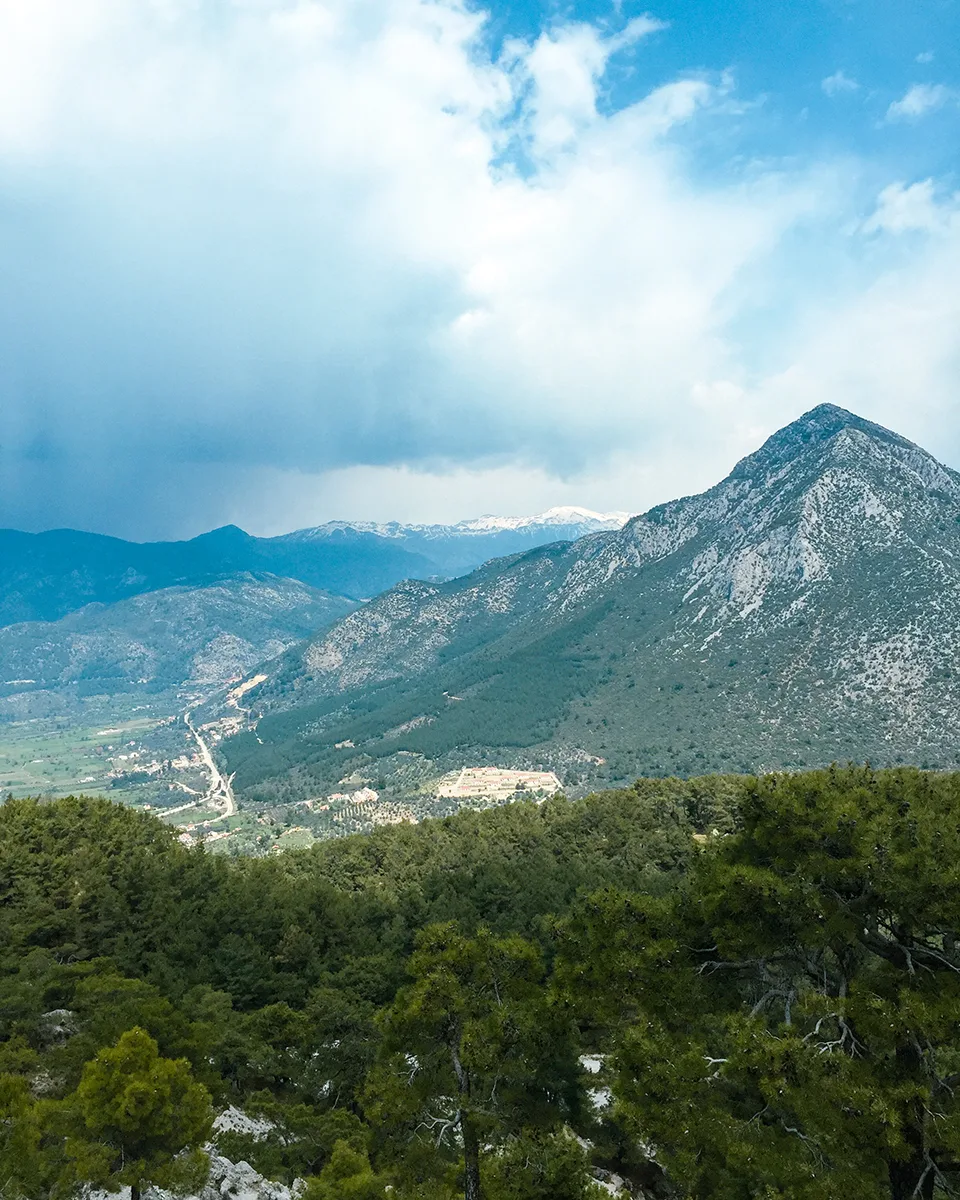 Fethiye Yeşilüzümlü