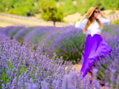 Isparta-Burdur Gezilecek Yerler Isparta Gezilecek Yerler