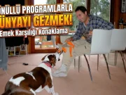 Tazmanya Hobart'ta HelpX programı kapsamında bir evde gönüllü olarak çalışırken köpekle ilgilenen gezginin YouTuber tarzı kapak görseli.
