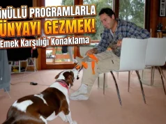 Gönüllü Programlarla Dünyayı Gezmek: Emek Karşılığı Konaklama Tazmanya Hobart'ta HelpX programı kapsamında bir evde gönüllü olarak çalışırken köpekle ilgilenen gezginin YouTuber tarzı kapak görseli.