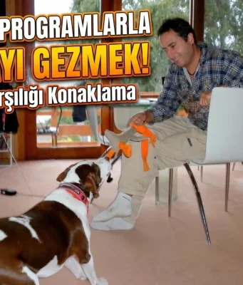 Tazmanya Hobart'ta HelpX programı kapsamında bir evde gönüllü olarak çalışırken köpekle ilgilenen gezginin YouTuber tarzı kapak görseli.