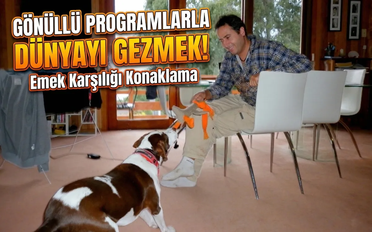 Tazmanya Hobart'ta HelpX programı kapsamında bir evde gönüllü olarak çalışırken köpekle ilgilenen gezginin YouTuber tarzı kapak görseli.