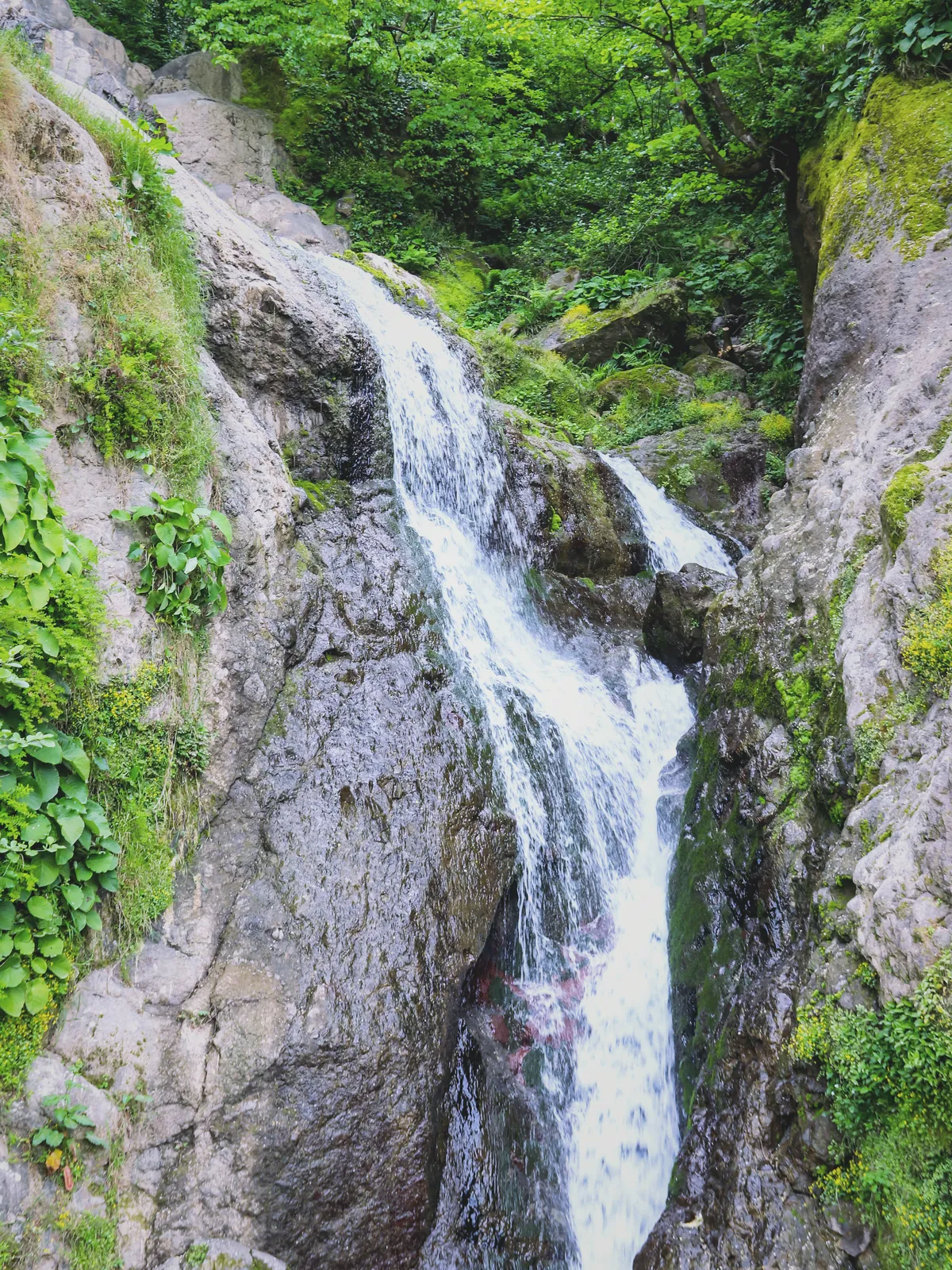 Batum Sarpi sınırında kayalar arasından akan doğal şelale
