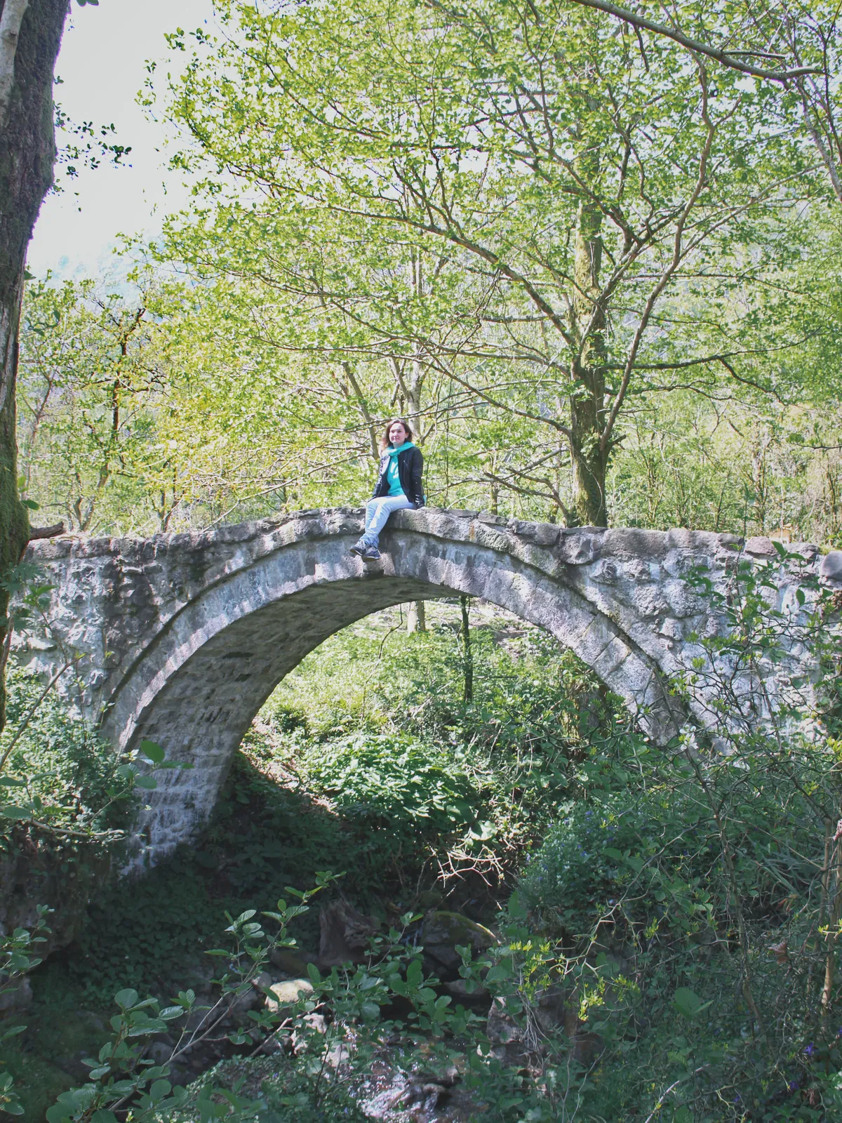 Batum Mirveti köyü tarihi taş kemer köprü ve orman manzarası
