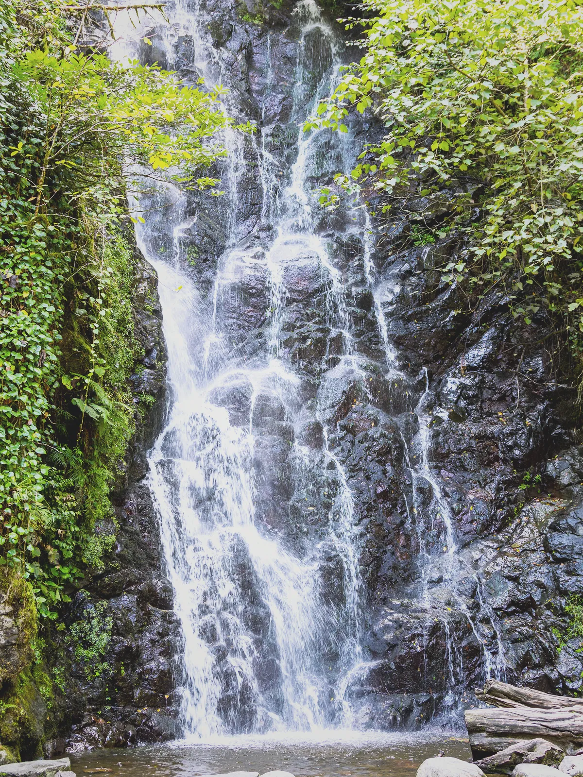 Batum Mirveti Şelalesi orman içindeki doğal görünümü