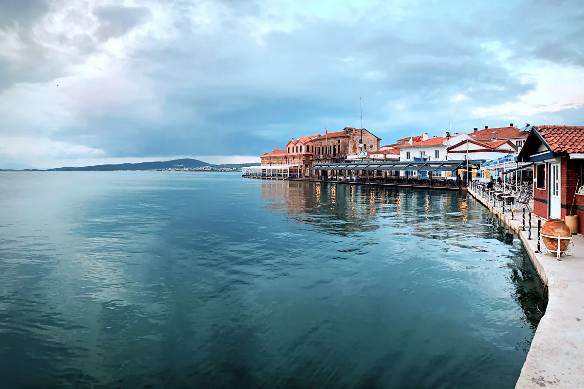 Ayvalık sahilinde gün batımında zeytinlikler ve deniz manzarası