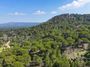 Kozak Yaylası’nda fıstık çamları arasında uzanan virajlı yol manzarası