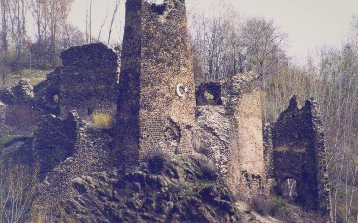 Şavşat Kalesi taş duvar kalıntıları ve çevresindeki ormanlık alan